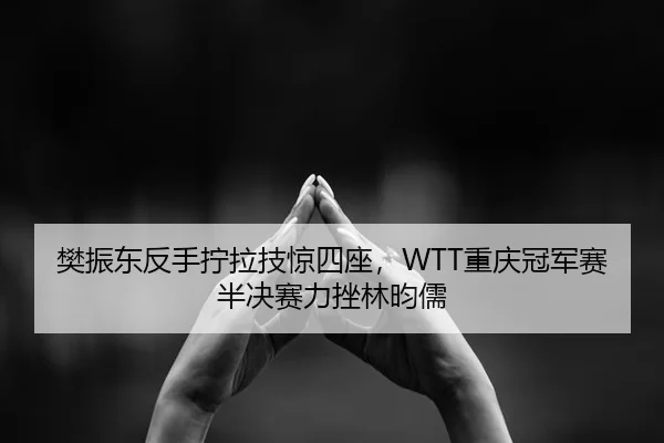 樊振东反手拧拉技惊四座，WTT重庆冠军赛半决赛力挫林昀儒