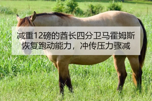 减重12磅的酋长四分卫马霍姆斯恢复跑动能力，冲传压力骤减